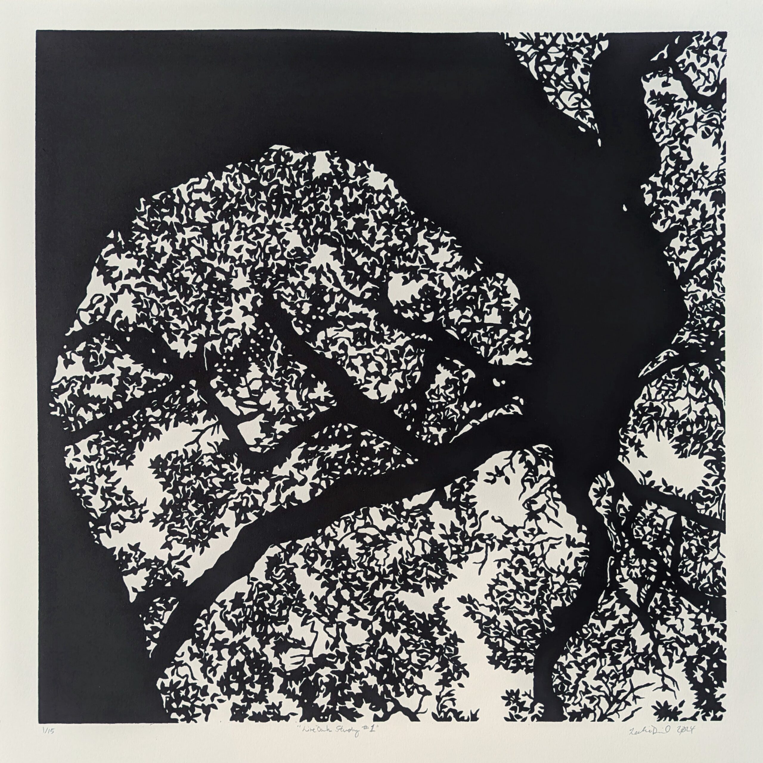 Live Oak Study #1 - A limited edition linocut print by artist and printmaker Leslie Deil showing a view of a live oak tree as viewed from below using black ink on cream colored paper